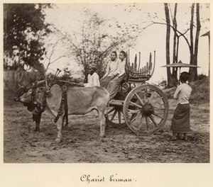 Kar getrokken door twee ossen in Mandalay, Birma, c.1885 door English Photographer